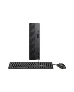 ASUS PC ExpertCenter D5 SFF (D500SE-313100146W)