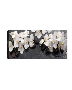 Wallxpert Bild Orchideen 30 x 80 cm