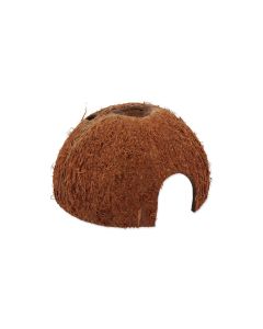 Repti Planet Coco Schale L