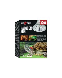Repti Planet Terrarienlampe Halogen Spot 25 W