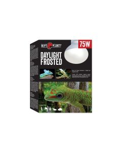Repti Planet Terrarienlampe Daylight Frosted 75 W