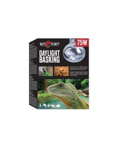 Repti Planet Daylight Basking Spot 75 W