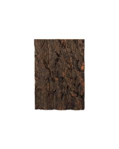 Repti Planet Kork-Rück Wand 19 x 27.3 x 2 cm