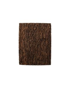 Repti Planet Kork-Rück Wand 43.5 x 56 x 2 cm