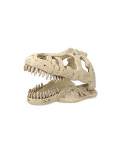 Repti Planet Dekoschädel T-Rex