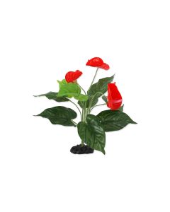 Repti Planet Anthurium, 40 cm