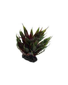 Repti Planet Sukulent Agave Green, 18 cm