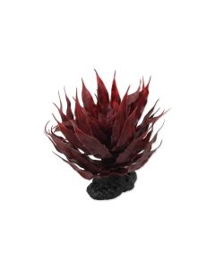 Repti Planet Sukulent Agave Red, 18 cm