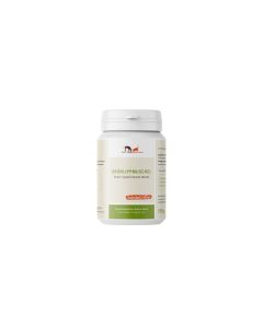 Futtermedicus Hunde-Nahrungsergänzung Grünlippmuschelpulver, 150 g