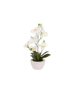 Botanic-Haus Kunstpflanze Phaleanopsis im Topf 67 cm
