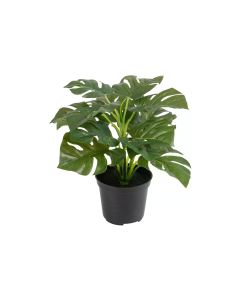 Botanic-Haus Kunstpflanze Philodendron im Topf 28 cm