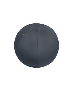 Leitz Sitzball Ergo Cosy Active Grau