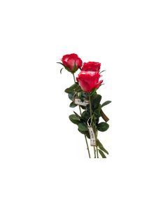 CHALET Kunstblume Rosenbouqet 87 cm, Fuchsia