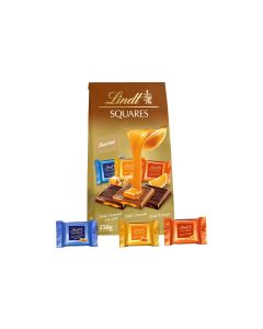 Lindt Schokoladen-Pralinen Squares assortiert 250 g