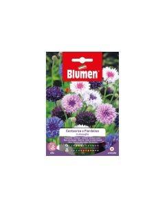 Blumen Saatgut Kornblume Mix