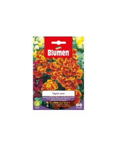 Blumen Saatgut Zwergtagetes Marietta