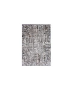Conceptum Hypnose Teppich Leo 0076 120 cm x 180 cm, Grau