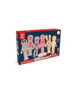 Hape Magnetisches Puzzle Menschlicher Körper