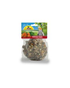 JR Farm Schlemmer-Zapfen für Grosssittiche & Papageien, 195 g