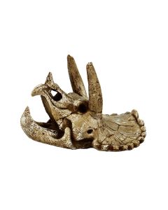 SuperFish Dekoration Schädel Triceratops M