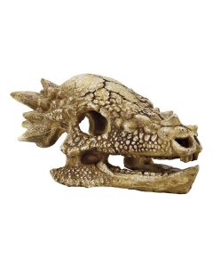 SuperFish Dekoration Schädel T-Rex M