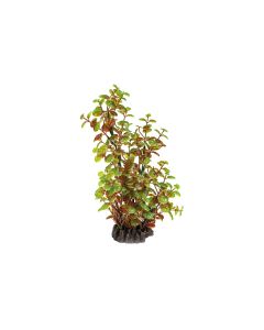 SuperFish Kunstpflanze Rotala, 25 cm