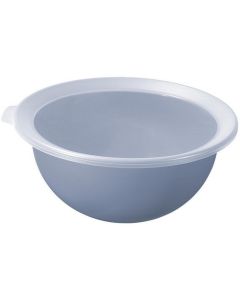 Rotho Schüssel Caruba 1 Stück, Blau