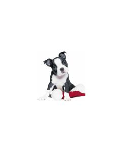 Paper + Design Weihnachtsservietten Xmas Dog 33 cm x 33 cm, 20 Stück
