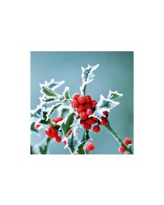 Paper + Design Papierservietten Frosty holly 33 cm x 33 cm, 20 Stück