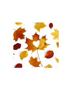 Paper + Design Papierservietten Autumn Love 33 cm x 33 cm, 20 Stück