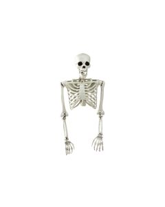 Dekomat AG Halloweenfigur Skelett Torso 1 Stück