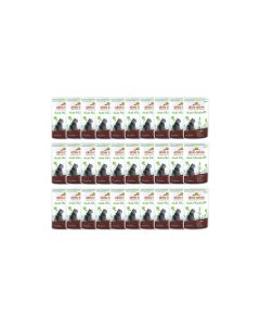 Almo Nature Nassfutter Holistic Anti Hairball mit Rind, 30 x 70 g