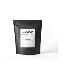 WINFORCE Pulver CHO MAXX Matcha 1200 g