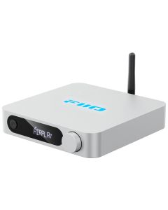 FiiO Netzwerk-Musik-System SR11 Silber