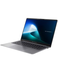 ASUS ExpertBook P5 (P5405CSA-NZ0326X)