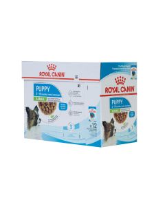 Royal Canin Nassfutter X-Small Puppy in Sauce, 12 x 85 g