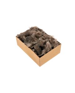 Opiflor Perlhuhnfedern 45 g, Natur-Braun