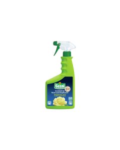 Gesal Insektizid für Rosen und Zierpflanzen 750 ml