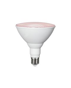 Star Trading Leuchtmittel Plant Light 570cd 16 W E27