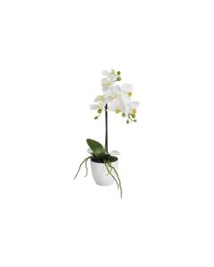 Botanic-Haus Kunstblume Phalenopsis 1 Rispe im Topf, Weiss