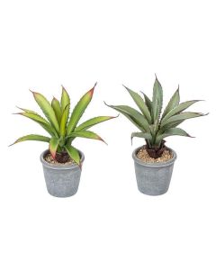 Botanic-Haus Kunstpflanze Aloe  im Topf, 2er Set