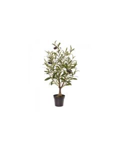Botanic-Haus Kunstpflanze Olivenbaum, 60 cm