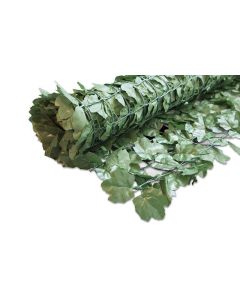 Windhager Sichtschutz Hecke Ahorn 1.5x3m grün