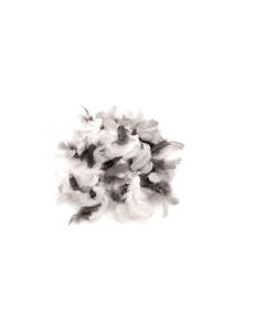 Glorex Federn Deco Schwarz/Weiss