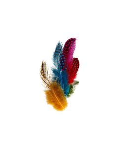 Creativ Company Federn Perlhuhn Mehrfarbig