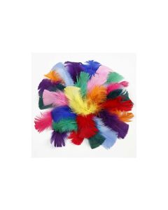 Creativ Company Federn 50 g Mehrfarbig
