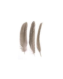 Glorex Federn Perlhuhn 16-18 cm