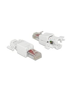 Delock Stecker RJ45 Cat.6 UTP 2 Stück, Weiss