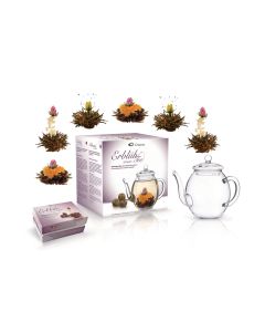 Creano Tee-Set Erblühtee 0.5 l, Transparent