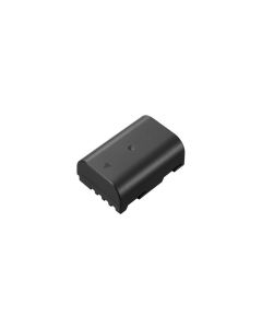 Panasonic Digitalkamera-Akku DMW-BLF19E